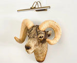 Ram Head Wall Mount Sculpture