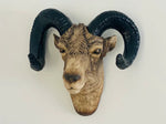 Ram Head Wall Mount Sculpture