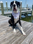 Load image into Gallery viewer, Red Crab Dog Bandana