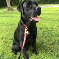 Load image into Gallery viewer, Red Bandana Dog Lead