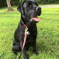 Load image into Gallery viewer, Red Bandana Dog Lead