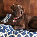Load image into Gallery viewer, Red Bandana Dog Collar