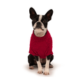 Load image into Gallery viewer, Ruby Chenille Sweater - Southlake Paws