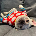 Load image into Gallery viewer, Red Heart Dog Sweater - Southlake Paws