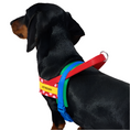 Load image into Gallery viewer, Red Polka Dot Chroma Dog Harness & Leash Set - Southlake Paws