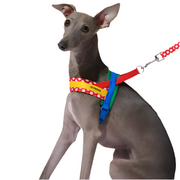 Red Polka Dot Chroma Dog Harness & Leash Set