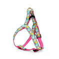 Load image into Gallery viewer, Up Country Reef Small Breed Dog Harness Made in USA