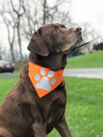 Reflective Dog Bandana Orange