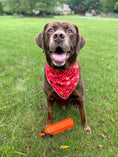 Load image into Gallery viewer, Reindeer Dog Bandana