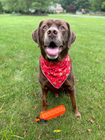 Reindeer Dog Bandana