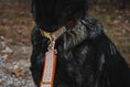 Load image into Gallery viewer, Southwest Spirit Leash - Southlake Paws
