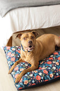 Load image into Gallery viewer, Riley Dog Bed
