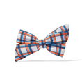 Load image into Gallery viewer, Ringo Dog Babe Bow