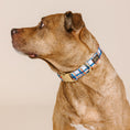 Load image into Gallery viewer, Ringo Dog Collar