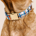 Load image into Gallery viewer, Ringo Dog Collar