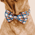 Load image into Gallery viewer, Ringo Dog Bow Tie
