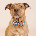 Load image into Gallery viewer, Ringo Dog Bow Tie