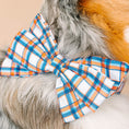 Load image into Gallery viewer, Ringo Dog Babe Bow