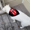 Load image into Gallery viewer, Rockin Roll Tongue Dog Bandana
