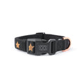 Load image into Gallery viewer, DOGISTRY City Collar - Rockstar