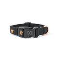 Load image into Gallery viewer, DOGISTRY City Collar - Rockstar