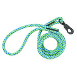 Blue/Green Rope Dog Leash 6'