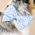Load image into Gallery viewer, Rory Dog Babe Bow