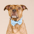 Load image into Gallery viewer, Rory Dog Bow Tie