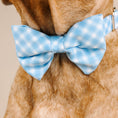 Load image into Gallery viewer, Rory Dog Bow Tie