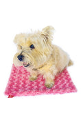 Load image into Gallery viewer, Rosebud Minkie Binkie, Coral
