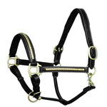 ExionPro Clincher Leather Halter - Brass Hardware