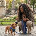 Load image into Gallery viewer, EcoBark Royal Blue Dog Leash- Padded Comfort Grip Leash - 4ft, 5ft, and 6ft Leash for Small and Medium Dogs