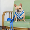 Load image into Gallery viewer, Frenchie Duo Reversible Harness - Royal Blue