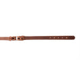 Load image into Gallery viewer, Topside Dog Collar in Chocolate