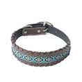 Load image into Gallery viewer, Freedom Trail Dog Collar In Black & Turquoise