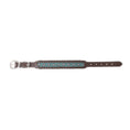 Load image into Gallery viewer, Freedom Trail Dog Collar In Black & Turquoise