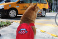 Load image into Gallery viewer, Parisian Pet 'Route 66 Jumpsuit' for Dogs and Cats, Fashionable Pet Jumpsuit for Parties, Red