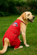 Load image into Gallery viewer, Parisian Pet 'Route 66 Jumpsuit' for Dogs and Cats, Fashionable Pet Jumpsuit for Parties, Red