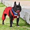 Load image into Gallery viewer, Parisian Pet 'Route 66 Jumpsuit' for Dogs and Cats, Fashionable Pet Jumpsuit for Parties, Red