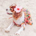 Load image into Gallery viewer, Parisian Pet 'Hawaiian Dress' Dog & Cat Shirt – Island-Themed Vacation Pet Apparel – Orange