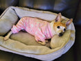 Load image into Gallery viewer, Parisian Pet 'Pink Swan' Pajama for Dogs & Cats, Luxury Pet Sleepwear, Cozy Dog Pajama Set-Valentine's Day