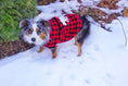 Load image into Gallery viewer, Parisian Pet 'Buffalo Checkered Sweater - Polar Bear' for Dogs and Cats - Cozy Winter Wear with Adorable Polar Bear Design Red and Black