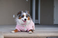 Load image into Gallery viewer, Parisian Pet 'Velour Pajama Blush' for Dogs & Cats, Soft Pet Sleepwear, Luxury Dog Pajamas, Blush Pink-Valentine's Day