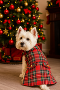 Load image into Gallery viewer, Parisian Pet 'Tartan Fringe Dress' Dog & Cat Shirt – Elegant Holiday Dog Dress – Red-Valentine's Day