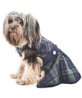 Load image into Gallery viewer, Parisian Pet 'Scottish Taffeta Dress' Dog & Cat Shirt – Festive Holiday Plaid Dog Dress, Comfortable & Stylish – Green, Blue
