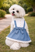 Load image into Gallery viewer, Parisian Pet 'Chambray Overall Dress' for Dogs and Cats, Designer Denim, Lightweight Summer Outfit, Blue