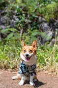 Load image into Gallery viewer, Parisian Pet 'Palm Leaves' Dog & Cat T-Shirt – Trendy Tropical Summer Pet Clothing, Comfortable & Lightweight - Blue & White
