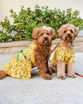 Load image into Gallery viewer, Parisian Pet 'Cactus Camp' Dog & Cat Shirt – Trendy Embroidered Tropical Pet Apparel, Lightweight & Comfortable – Yellow