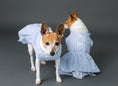 Load image into Gallery viewer, Parisian Pet 'Gingham Countryside Lace Dress' Dog & Cat Shirt – Stylish Blue Plaid Dress – Blue