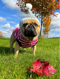 Load image into Gallery viewer, Parisian Pet 'Striped Pom Pom Hoodie', Red – Soft & Fashionable Pet Hoodie with Playful Pom Pom Design